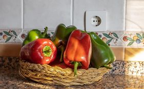 Apartment Nieves 1